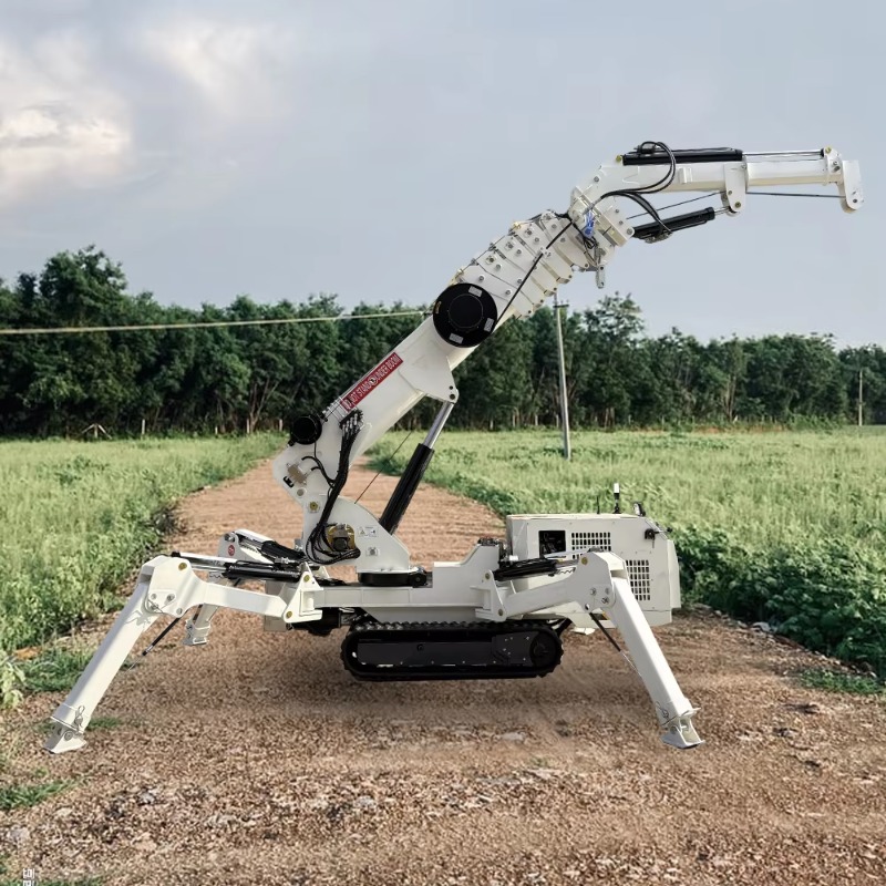 Compact Mini Spider Crane 1.5T - Compact Crawler Boom Lift recension och pris