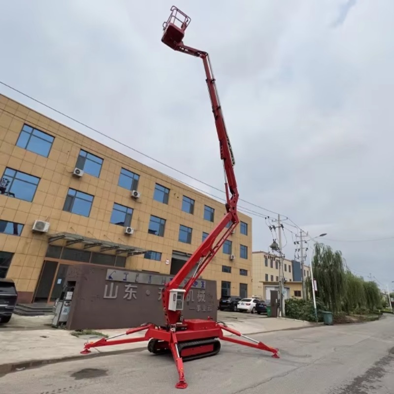 YG Customized 12m Briggs & Str - Compact Crawler Boom Lift recension och pris